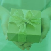 Producto o Servicio 8